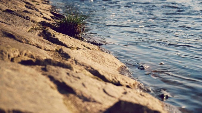 为什么都说武器越怪，死的越快？